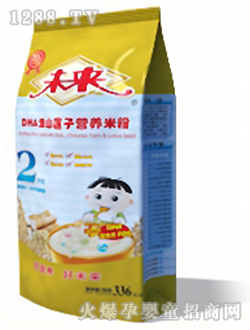 未來(lái)牌DHA淮山蓮子營(yíng)養(yǎng)米粉2段336g