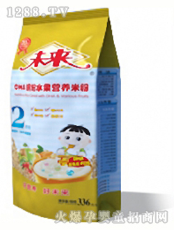 未來(lái)牌DHA繽紛水果營(yíng)養(yǎng)米粉2段336g