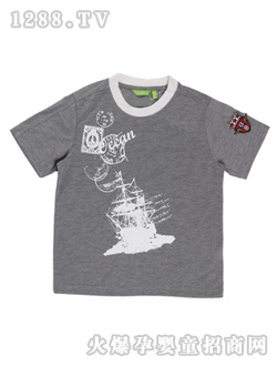 ������ɫT��