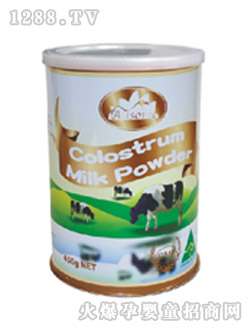 ������ţ�����̷�