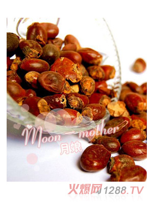 ������֦�˲�