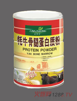 �`������ţ���走���|(zh��)��