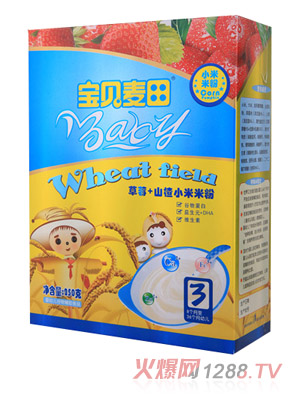 ��ؐ�����ݮ+ɽ�С���׷�2��