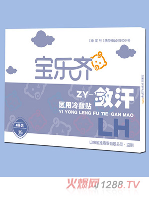 寶樂(lè)齊醫(yī)用冷敷貼-斂汗