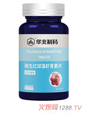 �A����ˎ�����t�����r����Ƭ