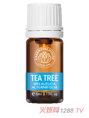 ��Ϫ���@ ���޲�侫��