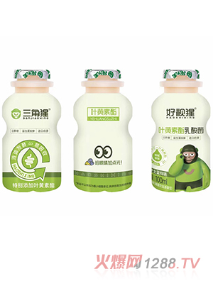 �������~�S�������