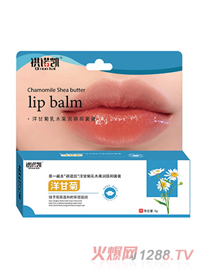 ���Z�P��ʾ���ľ�������־���-��ʾ�